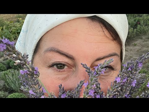 Видео: Купили хатину в селі за 7500