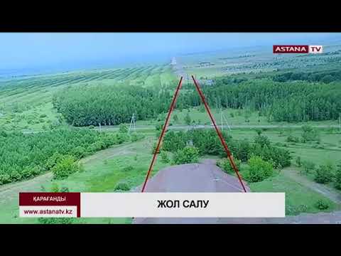 Видео: Қарағандыда 140 қайың ағашы кесіліп, оның орнына көлік жолы салынатын болды