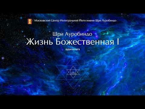 Видео: Шри Ауробиндо. Жизнь Божественная. Том 1. Глава 9 - Существование в Чистом Бытии