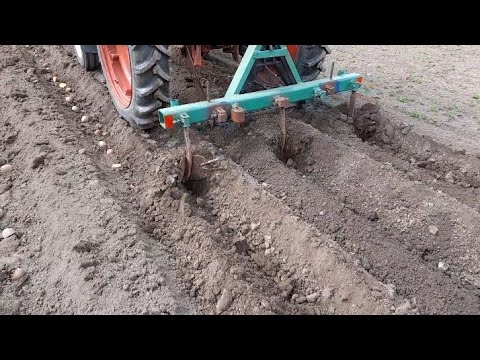 Видео: Подготавливаю землю и сажаю кортошку.