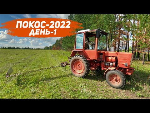 Видео: Покос начало, день первый.