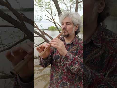 Видео: Свирель Ля из ореха  #flute #music #блокфлейта #свирель #флейта #flute