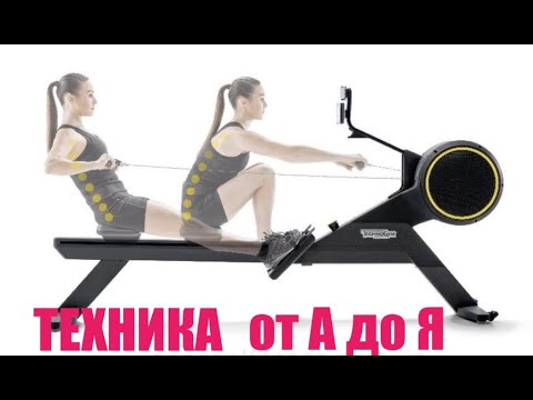 Видео: Полный разбор ТЕХНИКИ и ОБОСНОВАНИЕ работы в ГРЕБНОМ ТРЕНАЖЕРЕ от ПРОФЕССИОНАЛА