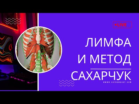 Видео: Про лимфатическую систему. Функции, проблемы, решения. Метод Сахарчук.