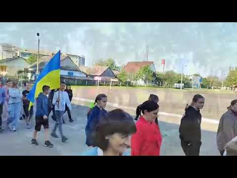 Видео: День миру