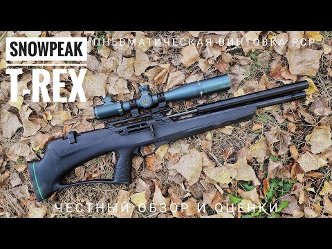 Видео: Snowpeak T-Rex Bullpup. Бюджетная РСР винтовка. Обзор, тест и мои оценки.