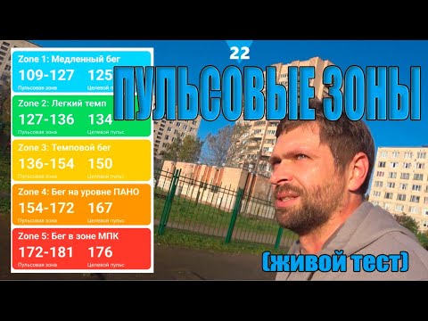 Видео: 🚦ТЕСТИРУЕМ ПУЛЬСОВЫЕ ЗОНЫ ПРИ БЕГЕ ❤️