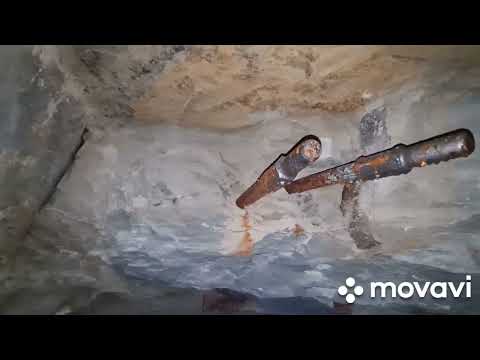Видео: НОЕВ КОВЧЕГ/В 25 сентября/1/ 56 канал