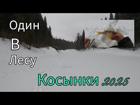 Видео: ГЛУХОЗИМЬЕ. РЫБАЛКА НА КОСЫНКИ 2025. РЫБА РВЕТ КОСЫНКИ. ТАЕЖНАЯ РЕЧКА.