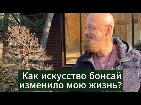 Видео: Как искусство бонсай изменило мою жизнь