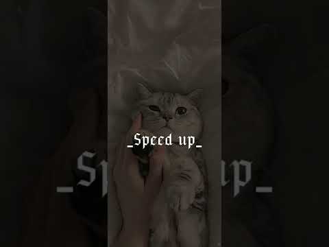 Видео: Земфира-,,Прогулка"(speed up)