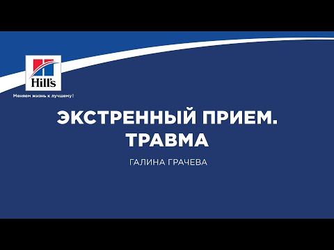 Видео: Вебинар на тему: «Экстренный прием. Травма». Лектор – Галина Грачева.