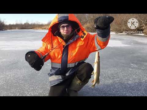 Видео: Ветренная рыбалка 🌬️🥶🦈🐠