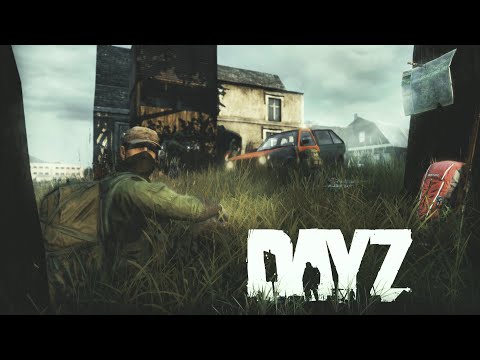 Видео: Наш план по захвату целого города. Пролезли в окно - DayZ