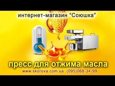 Видео: Приготовление масла из грецкого ореха