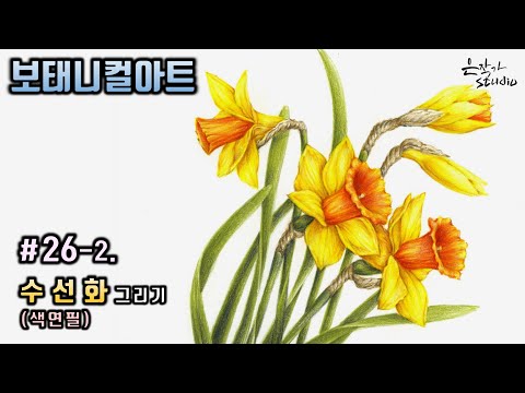 Видео: [Цветочный рисунок / Ботаническое искусство] № 26-2. Рисунок цветным карандашом нарцисс