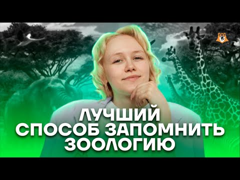 Видео: Лучший способ запомнить зоологию | Биология ОГЭ 2023 | Умскул