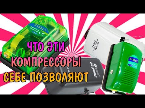 Видео: ЧТО ЭТИ КОМПРЕССОРЫ СЕБЕ ПОЗВОЛЯЮТ PRIME / BARBUS / ALEAS / SEA STAR / UNISTAR