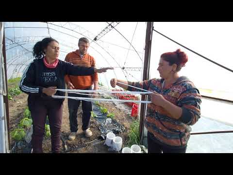Видео: БЪЛГАРСКАТА ГРАДИНАРСКА ТРАДИЦИЯ част 27