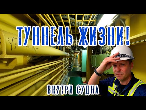 Видео: Туннель жизни - Passage way! Внутри судна или ТУС! (Теория устройства судна)