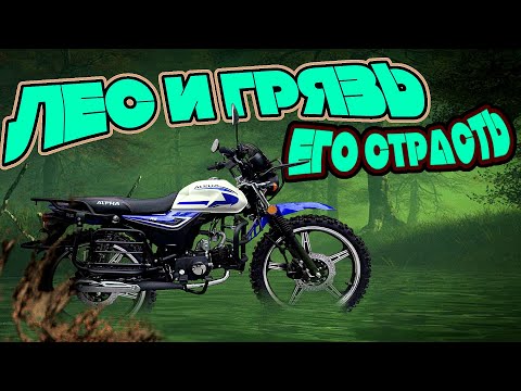 Видео: ЧУТЬ БОЛЬШЕ, ЧЕМ АЛЬФА! Обзор на Мопед Motoland Альфа Forester RS 11 (LM48-B) 18/18