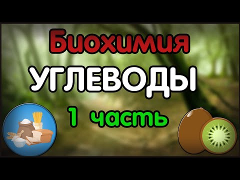 Видео: Биохимия. Лекция 47. Углеводы. 1 часть