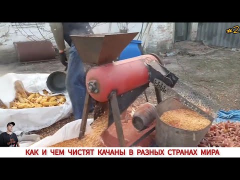 Видео: УНИКАЛЬНЫЕ ПРИСПОСОБЛЕНИЕ ДЛЯ ЧИСТКИ КУКУРУЗЫ З РАЗНЫХ СТРАН МИРА #2 / HOW AND WHAT IS CORN CLEANED