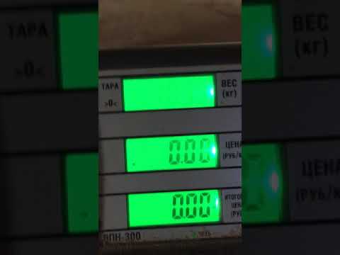 Видео: Ошибки при покупке семян подсолнечника