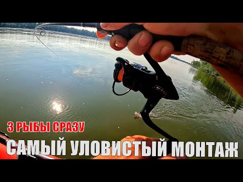 Видео: НЕ ПОВЕРИЛ БЫ ЕСЛИ бы САМ НЕ ПОЙМАЛ! ТРИ РЫБЫ за ПРОВОДКУ! ЭТОТ МОНТАЖ ТВОРИТ ЧУДЕСА!