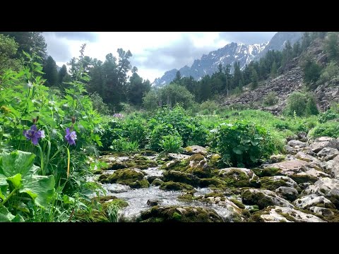 Видео: Верхом к водопаду | Озеро Куйгук, водопад и баня после ливня | Приключения 4