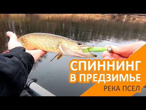 Видео: Спиннинг в предзимье  Река Псел