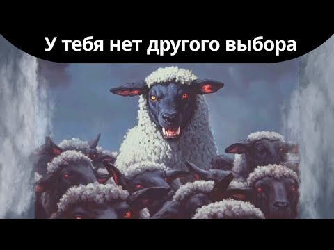 Видео: Будь волком среди овец – изречение Макиавелли