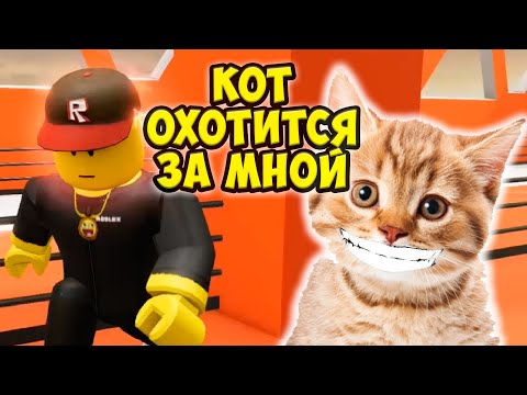 Видео: ПОБЕГ от NEXTBOTS конеток РОБЛОКС #некстботы  Evade Roblox