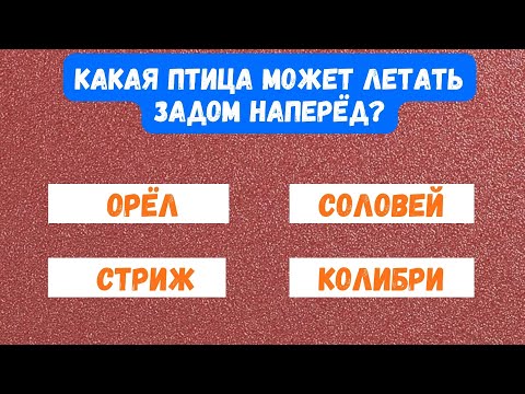 Видео: 97% людей сдаются уже на третьем вопросе! А ты справишься? Тест на эрудицию