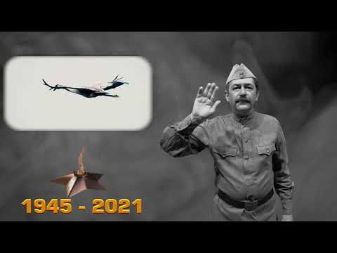 Видео: Кавер на песню "Журавли" в исполнении на жестовом языке
