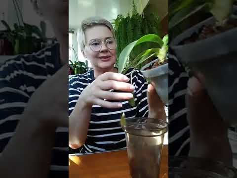 Видео: Эфир 5 октября. Много интересного)