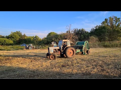 Видео: Т-40 и МТЗ-80 Покос травы, сгребание и тюкование сена