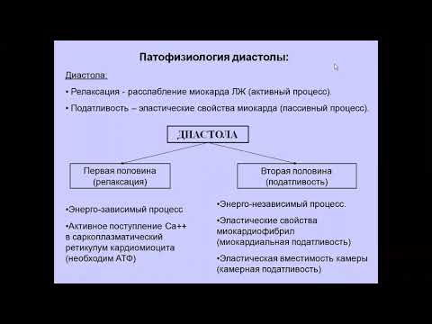 Видео: УЗД диастоличнской дисфункции ЛЖ Моргунов М Н
