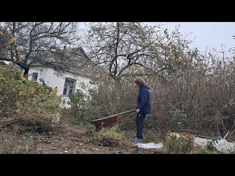 Видео: Наші будні 24 жовтня 2025