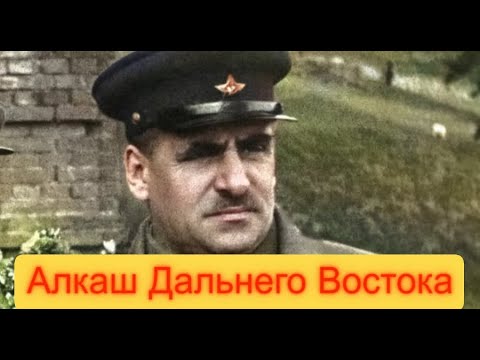 Видео: Виктор Суворов Аналитик Маршал Блюхер
