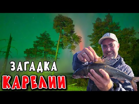 Видео: МЫ ПРОСТО СТОЯЛИ И МОЛЧА СМОТЕРЛИ НА НЕБО! ЗАГАДКА КАРЕЛИИ.