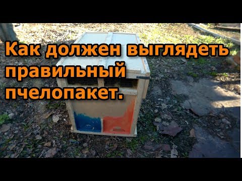 Видео: Пересадка пчелопакета. Как должен выглядеть правильный пчелопакет.