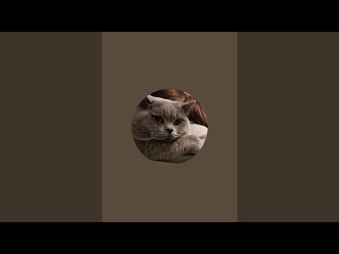 Видео: Кот Лёлик ♥️ в прямом эфире!