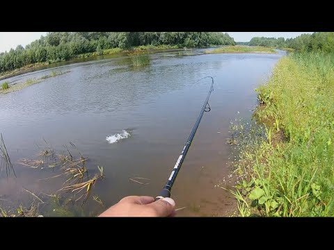 Видео: Рыбалка на реке ,в Перми и  Пермском крае. #пермЯК#спиннинг