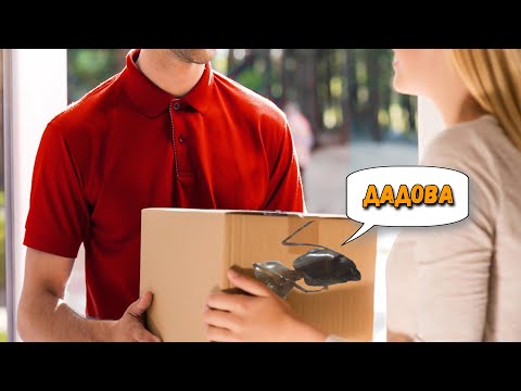 Видео: распаковка посылки с муравьями // новые муравьи