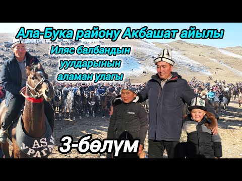 Видео: Ала-Бука району Иляс балбандын уулдарынын аламан улагы 3-бөлүм