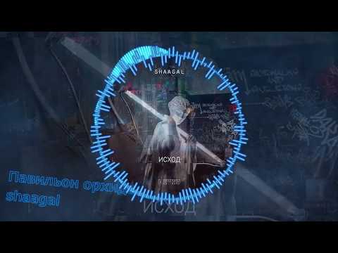 Видео: shaagal – Павильон орхидей