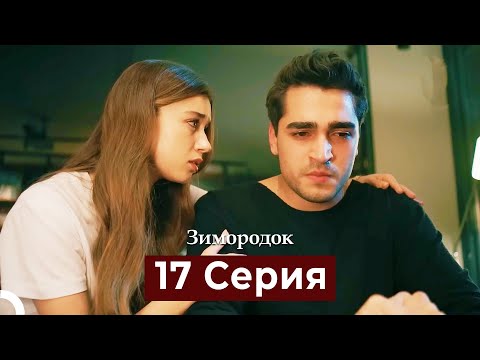 Видео: Зимородок 17 Cерия (Русский дубляж)