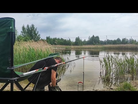 Видео: Ловля рыбы на карьере. И всё-таки клёв есть.