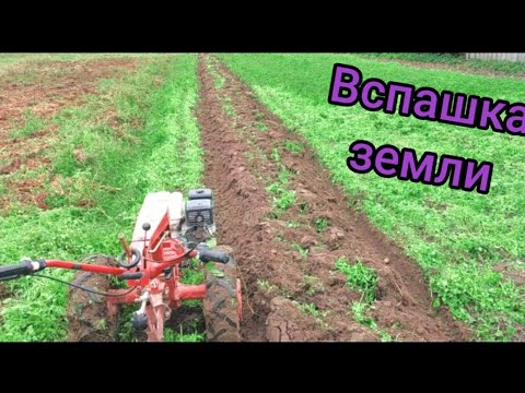 Видео: ✅Мотоблок МТЗ Вспашка плугом